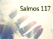salmo-117